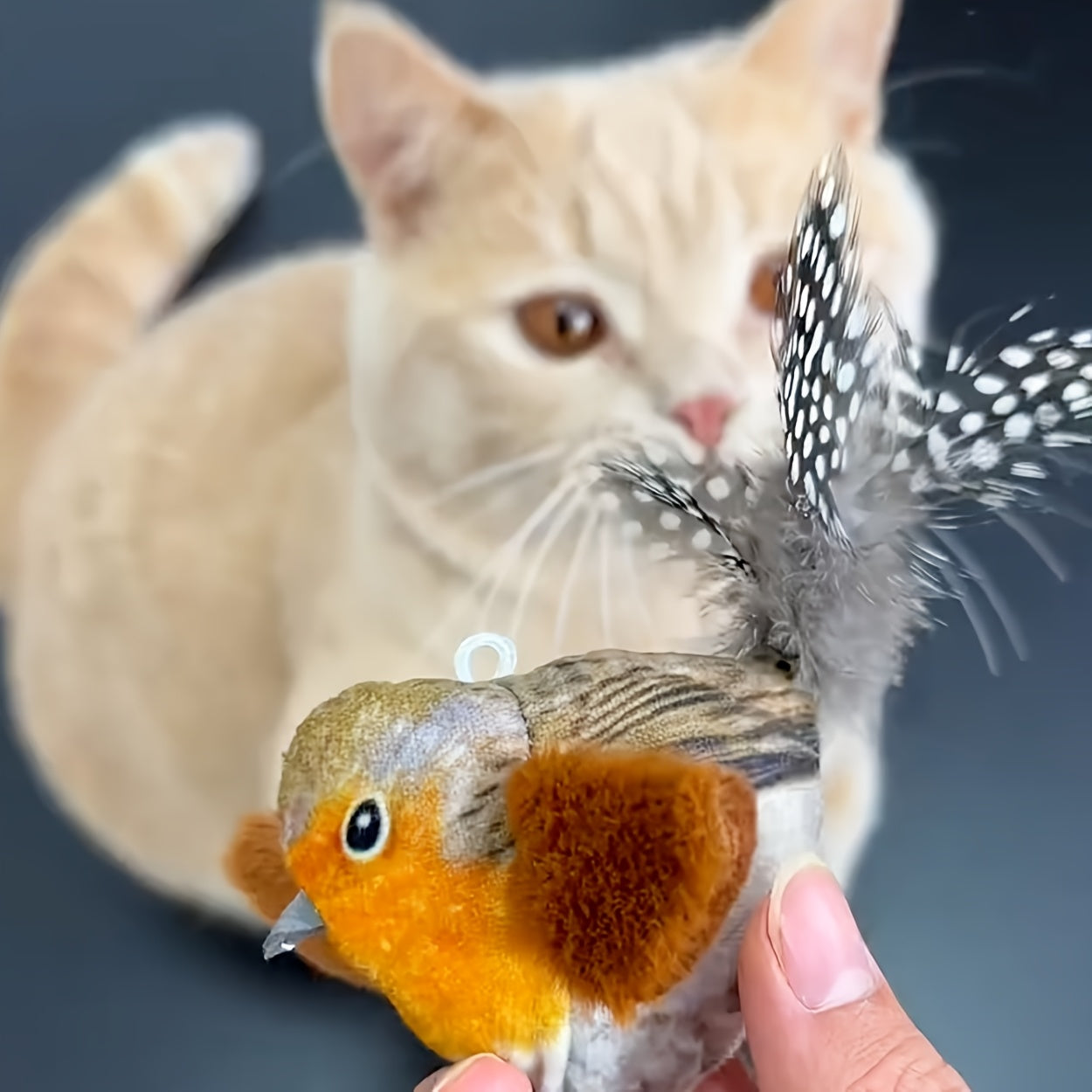 Flapping Bird Cat Toy – Realistic Sound, Plush, No Batteries