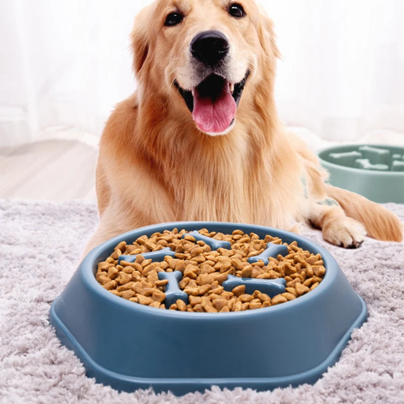 Pet Slow Feeder Bowl – Anti-Choking Eating Dish
