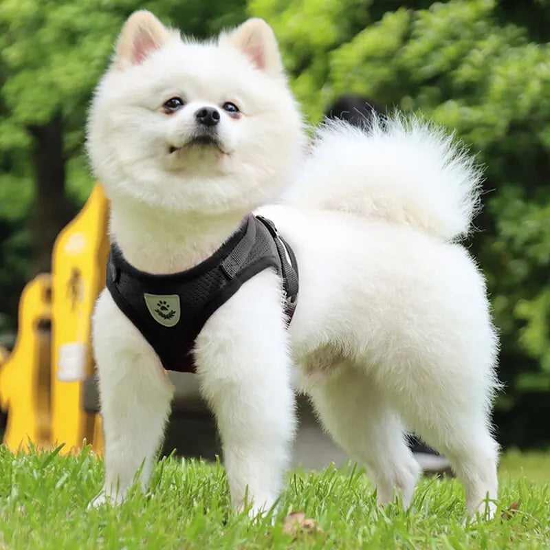 Breathable Reflective Adjustable Dog Harness with Leash
