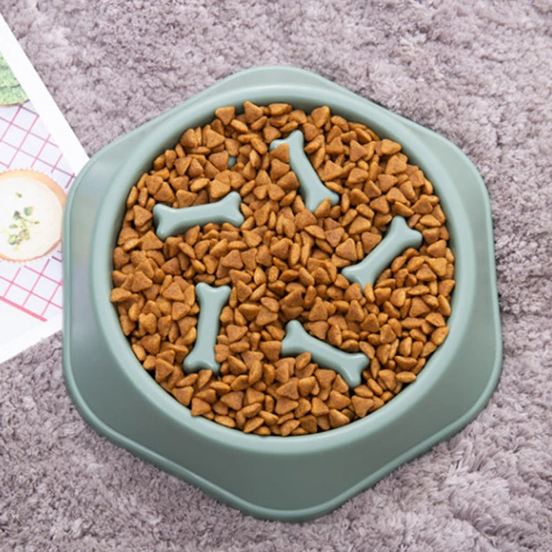 Pet Slow Feeder Bowl – Anti-Choking Eating Dish