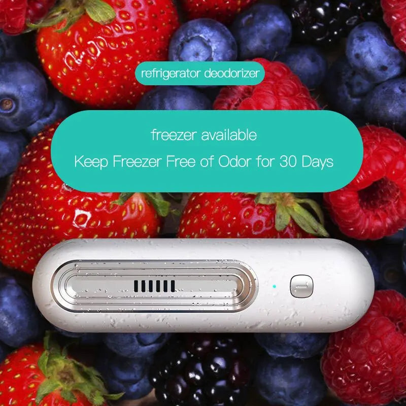 Refrigerator Deodorizer & Air Purifier – Odor Remover